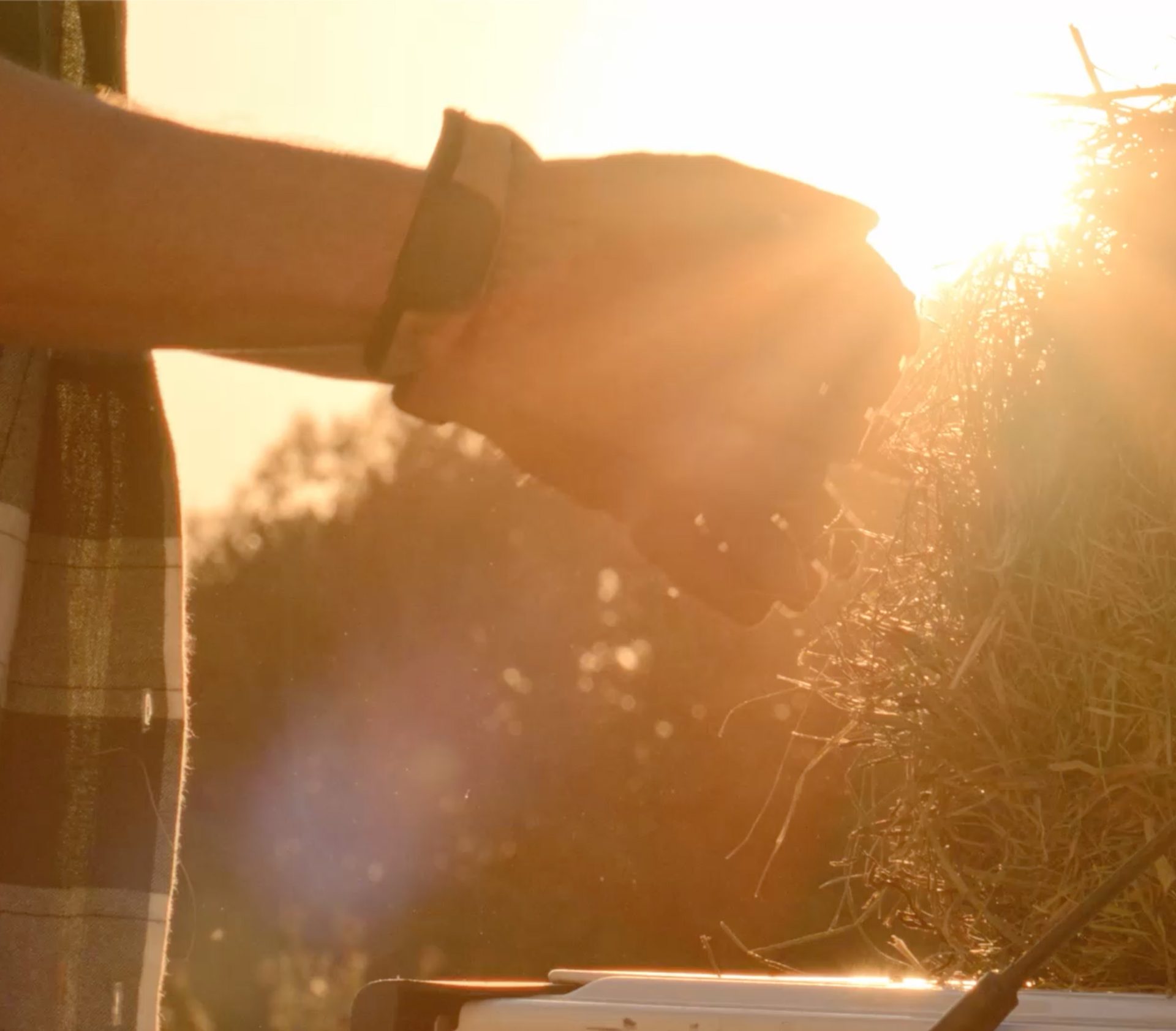 Vanderveen Hay Sales