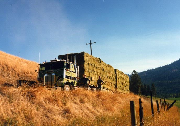 Vanderveen Hay Sales and Pet Store