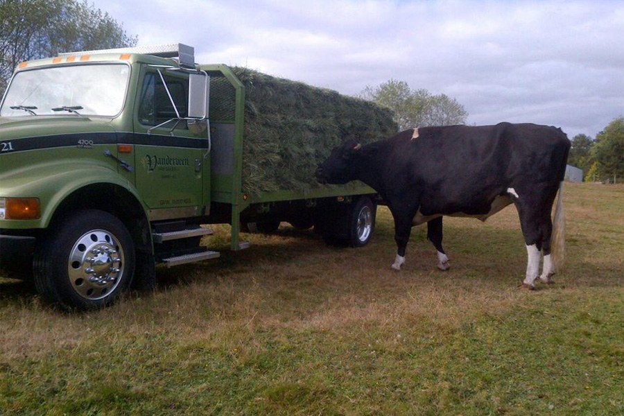 Cow hay sales truck